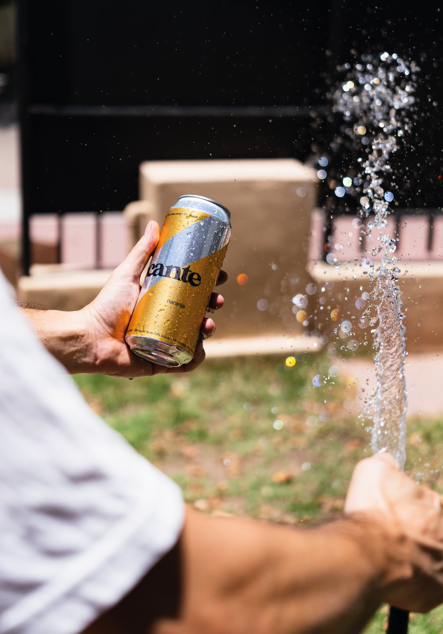 soda crocante café x 12 latas 473cc